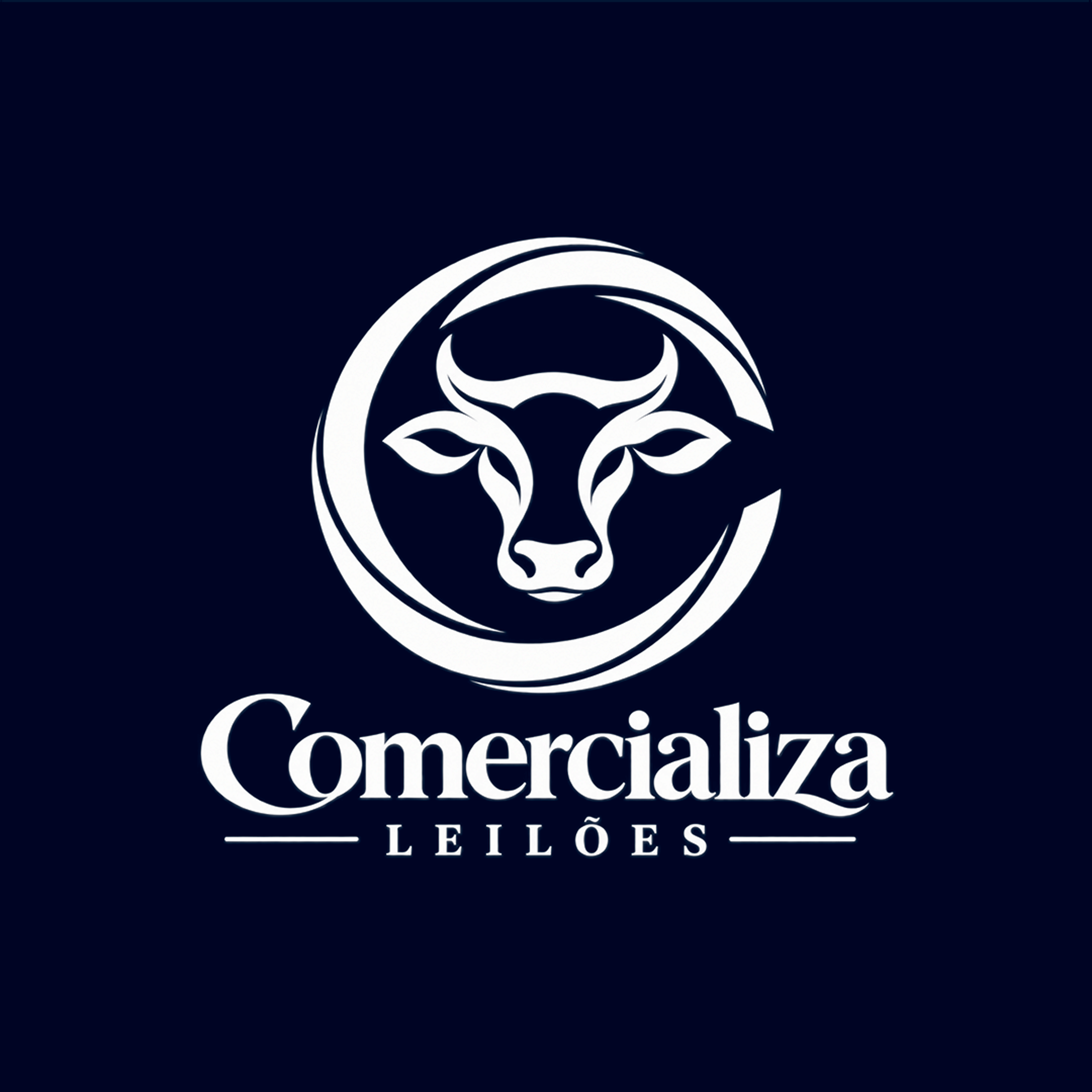 COMERCIALIZA LEILÕES