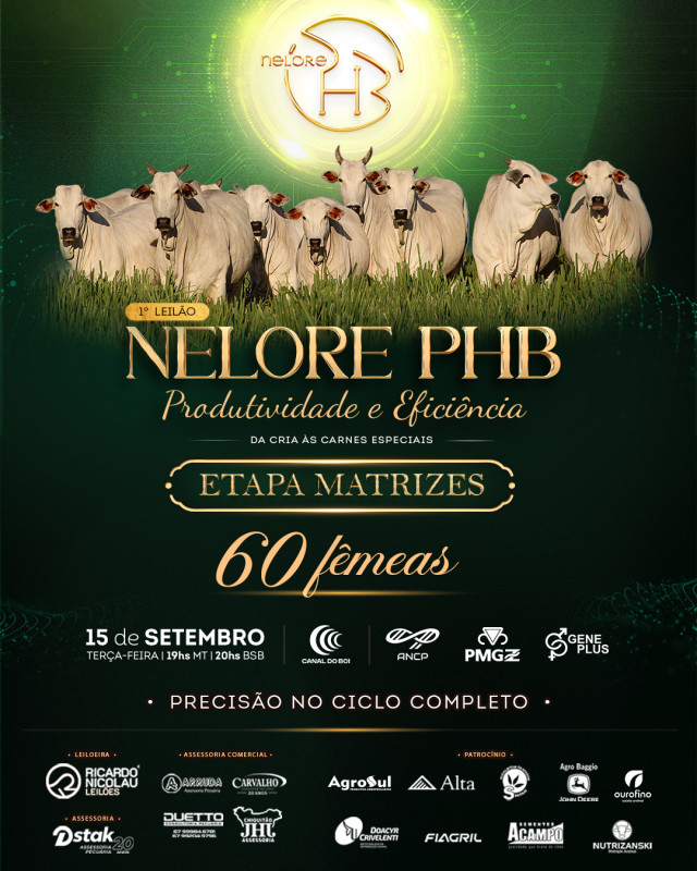 1º LEILÃO NELORE PHB - ETAPA MATRIZES