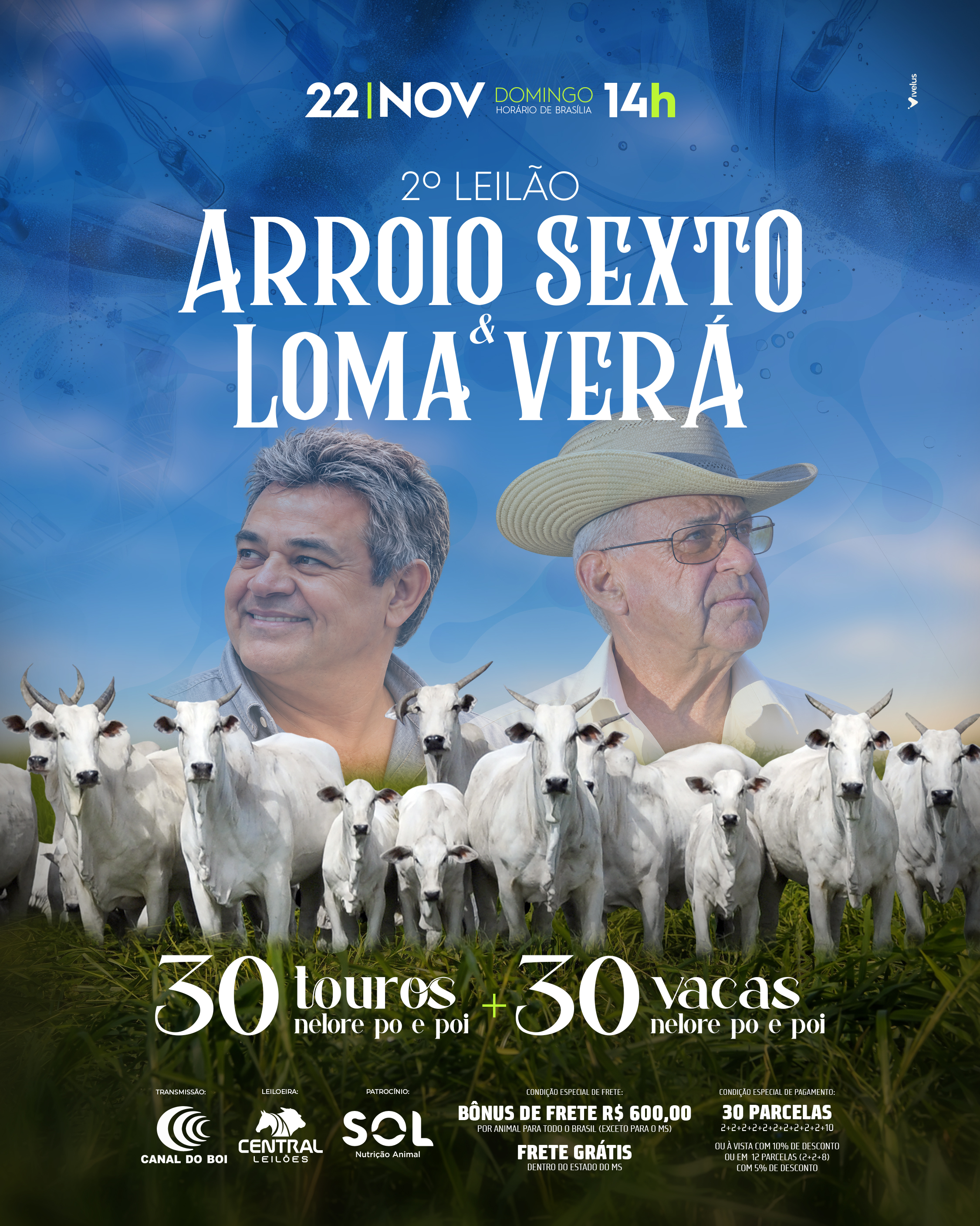 2º LEILÃO ARROIO SEXTO LOMA & VERÁ