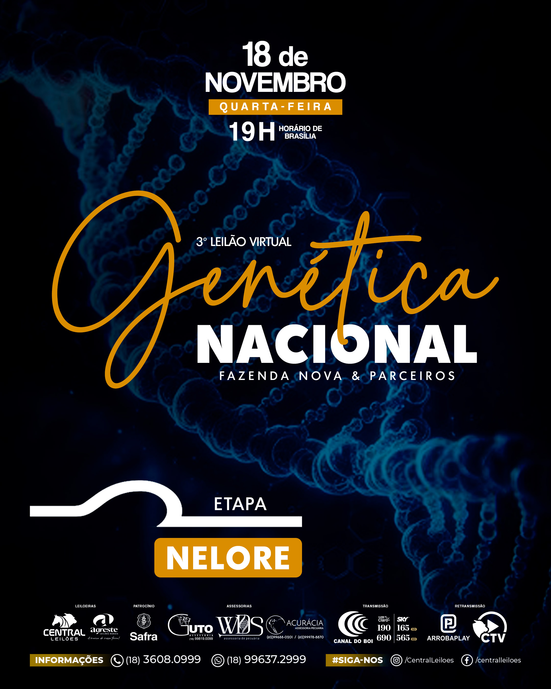 3º LEILÃO GENÉTICA NACIONAL FAZENDA NOVA & PARCEIROS - ETAPA NELORE
