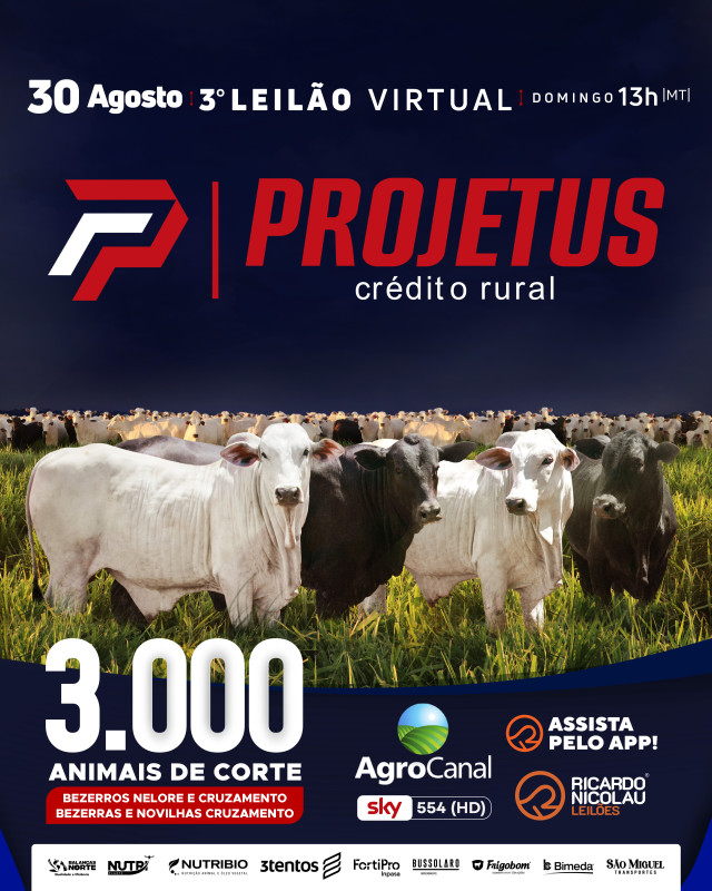 3º LEILÃO VIRTUAL PROJETUS & CONVIDADOS