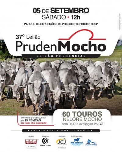 37º LEILÃO PRUDENMOCHO