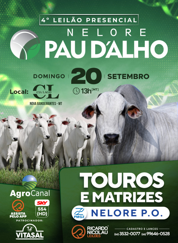 4º LEILÃO PRESENCIAL NELORE PAU D'ALHO