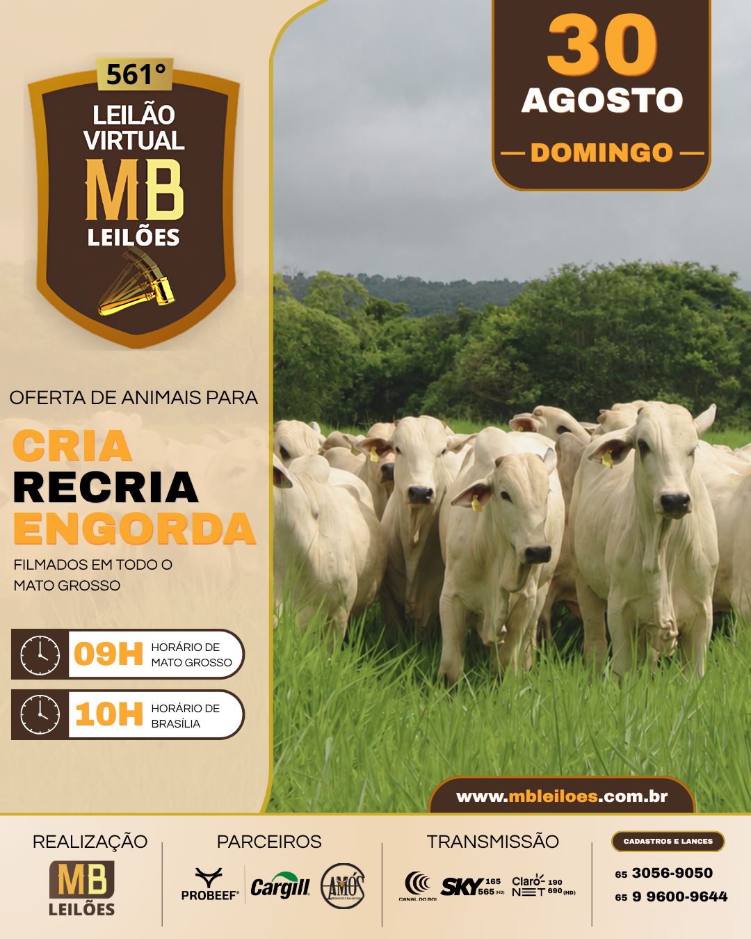 561º LEILÃO VIRTUAL MB LEILÕES