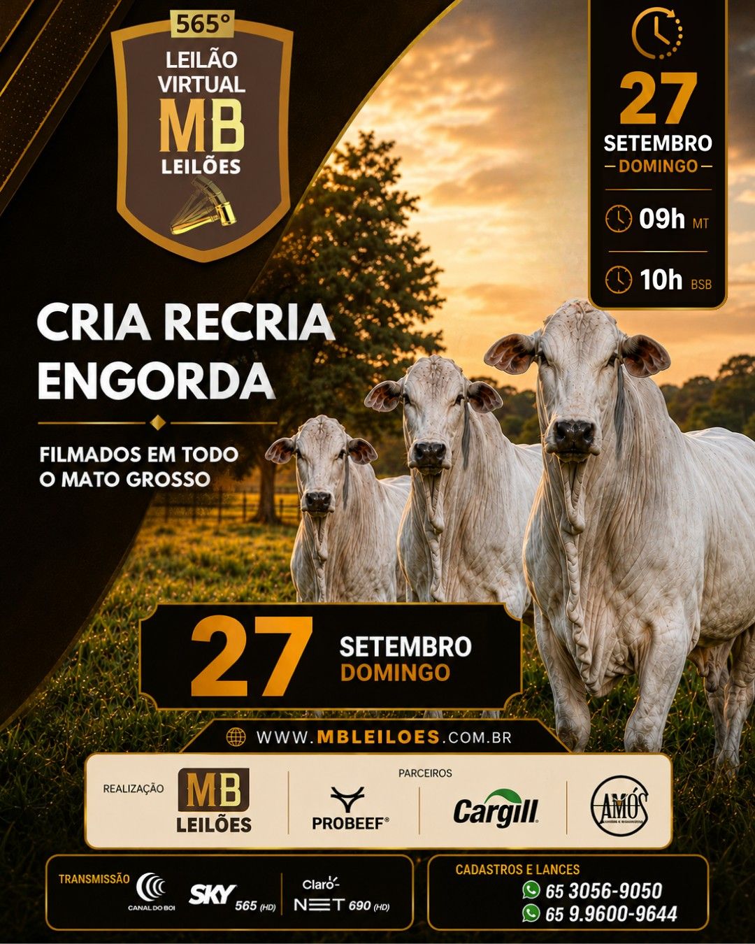 565º LEILÃO VIRTUAL MB LEILÕES
