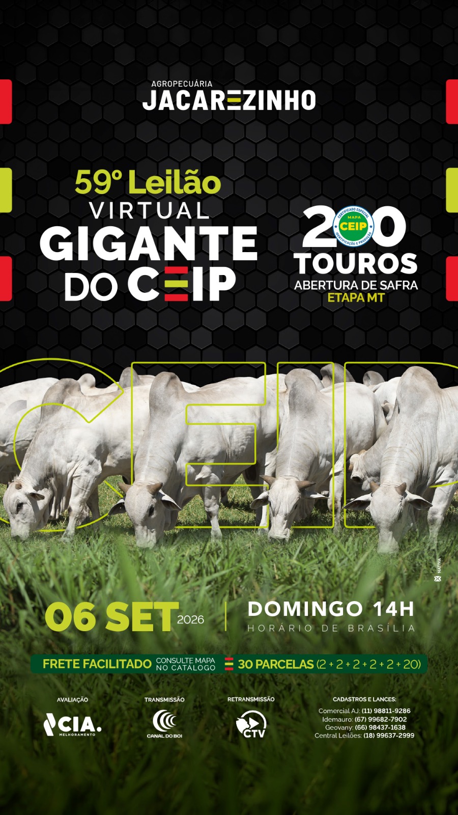 59º LEILÃO AGROPECUARIA JACAREZINHO - GIGANTE DO CEIP