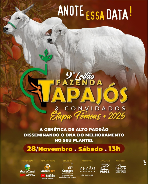 9º LEILÃO FAZENDA TAPAJÓS & CONVIDADOS - ETAPA FÊMEAS