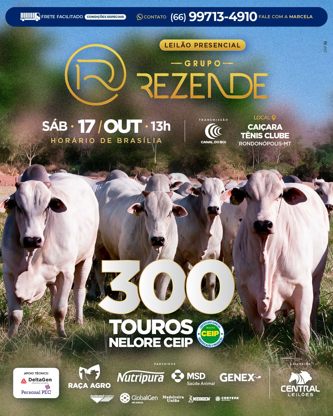 LEILÃO PRESENCIAL GRUPO REZENDE