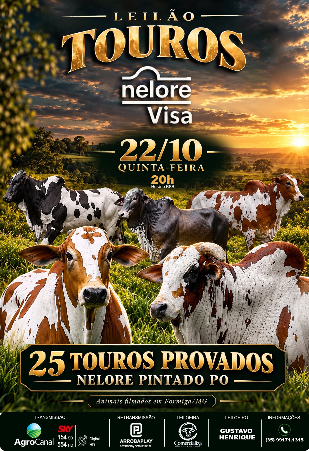 LEILÃO TOUROS NELORE VISA