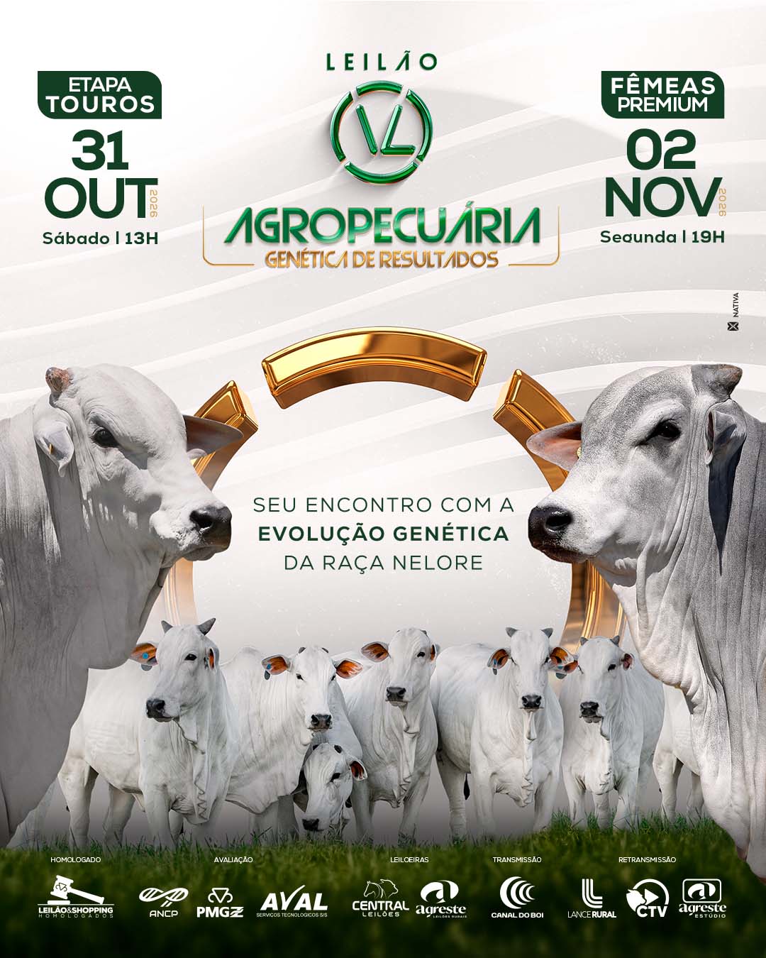 LEILÃO VL AGROPECUÁRIA